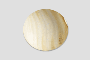 はまぐり碁石(白石)