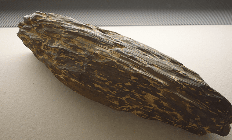 伽羅について買取価格・価値は高いの？