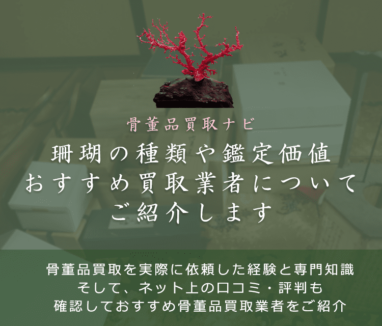 珊瑚は今いくらで売れる？買取価格や鑑定ポイント、相場高騰の理由も解説