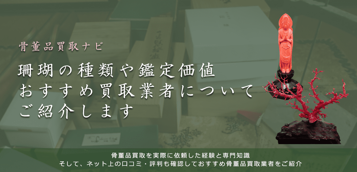 珊瑚は今いくらで売れる？買取価格や鑑定ポイント、相場高騰の理由も解説