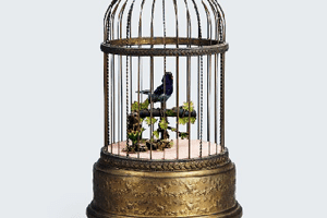 シンギングバード