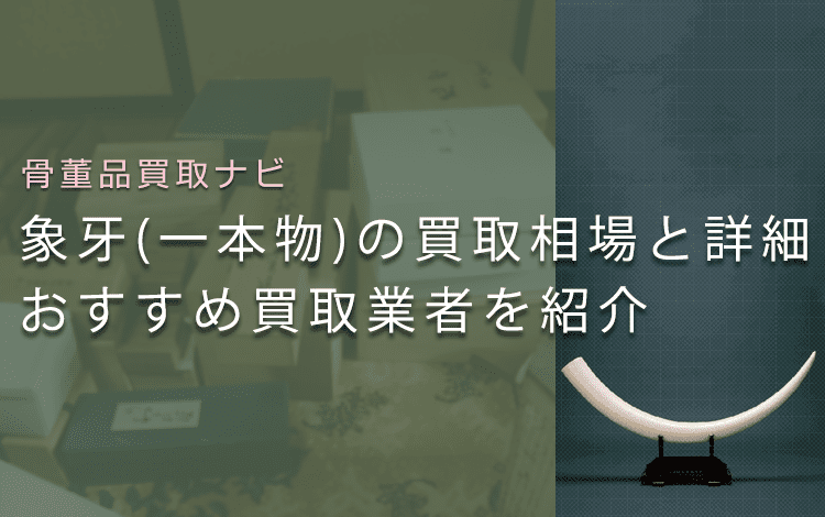 象牙の「牙(一本物)」はいくらで売れる?買取相場とおすすめ買取業者